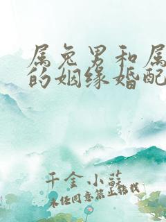 属兔男和属龙女的姻缘婚配