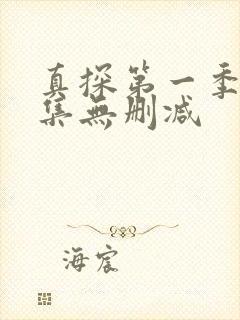 真探第一季第二集无删减