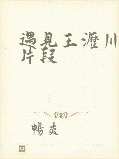 遇见王沥川精彩片段