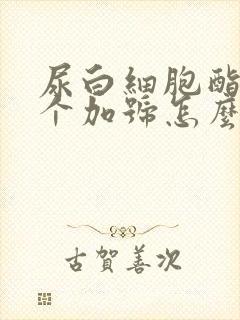 尿白细胞酯酶三个加号怎么回事