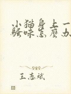 小猫身上一股尿骚味怎么办