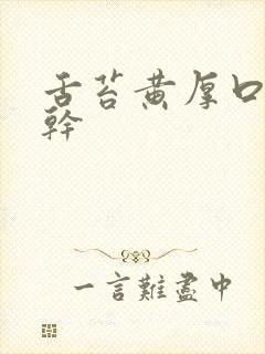 舌苔黄厚口苦口干