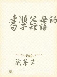 孝顺父母的经典句子短语