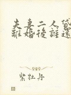 夫妻二人贷款,离婚后谁还