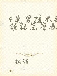 4岁男孩不愿意说话怎么办