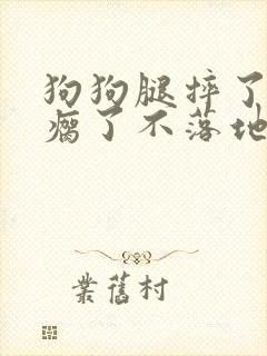 狗狗腿摔了一下瘸了不落地