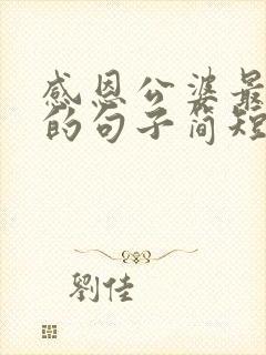 感恩公婆最朴实的句子简短