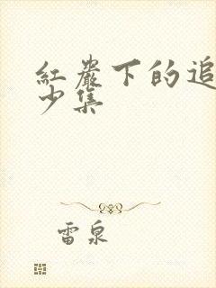 红岩下的追捕多少集