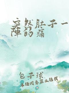 突然肚子一阵一阵的痛