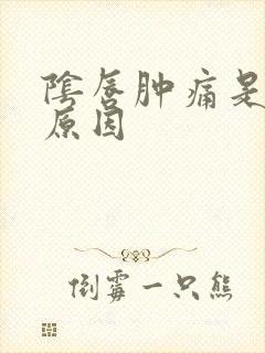 阴唇肿痛是什么原因