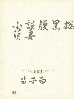 小说腹黑总裁小萌妻