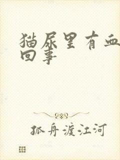 猫尿里有血怎么回事