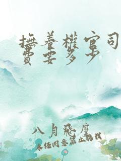 抚养权官司律师费要多少