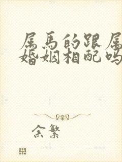 属马的跟属蛇的婚姻相配吗