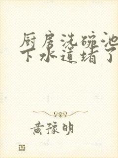 厨房洗碗池子的下水道堵了怎么办