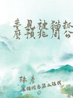 梦见被猫抓是什么预兆周公解梦