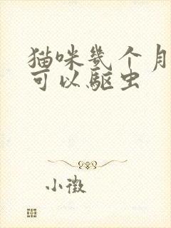 猫咪几个月大就可以驱虫