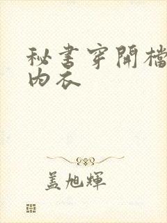 秘书穿开档情趣内衣