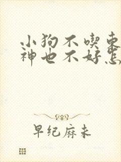 小狗不吃东西精神也不好怎么办