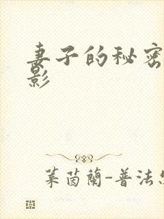 妻子的秘密 电影