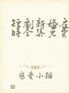 短剧新婚夜离婚时全集免费观看