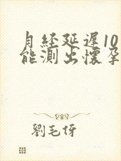 月经延迟10天能测出怀孕吗