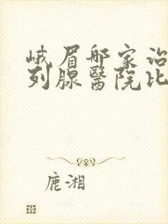 峨眉哪家治疗前列腺医院比较好