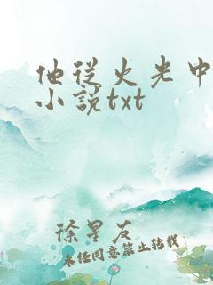 他从火光中走来小说txt