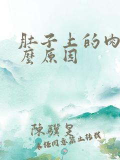 肚子上的肉痛什么原因