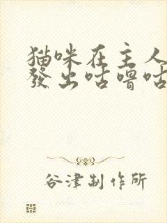 猫咪在主人身边发出咕噜咕噜的声音