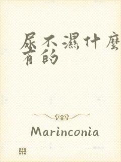 尿不湿什么时候有的