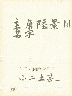 主角陆景川小说名字