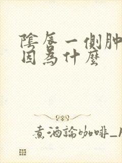 阴唇一侧肿了是因为什么