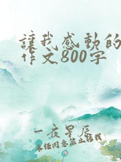 让我感动的细节作文800字