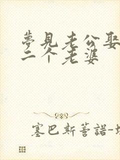 梦见老公娶了第二个老婆