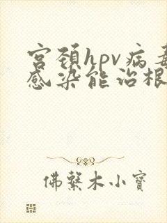 宫颈hpv病毒感染能治根吗