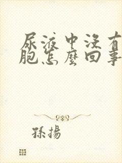 尿液中没有白细胞怎么回事