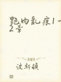 艳肉乱痕1一12章