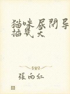 猫咪尿闭导尿管插几天