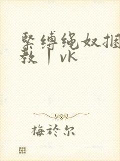 紧缚绳奴捆绑调教丨vk