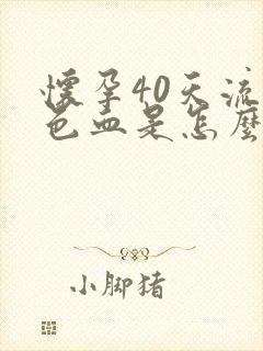 怀孕40天流褐色血是怎么回事