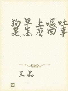 狗早上呕吐黄水是怎么回事