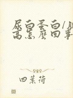 尿白蛋白/肌酐高怎么回事