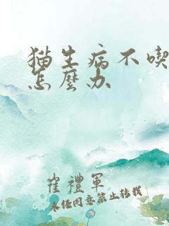 猫生病不吃东西怎么办