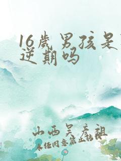 16岁男孩是叛逆期吗