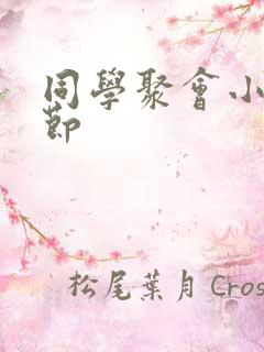 同学聚会小说章节