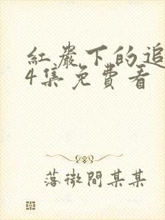 红岩下的追捕34集免费看