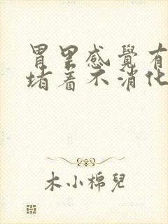 胃里感觉有东西堵着不消化怎么办