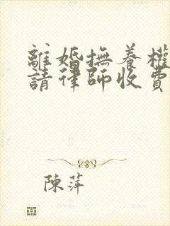 离婚抚养权官司请律师收费