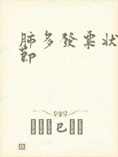 肺多发粟状小结节